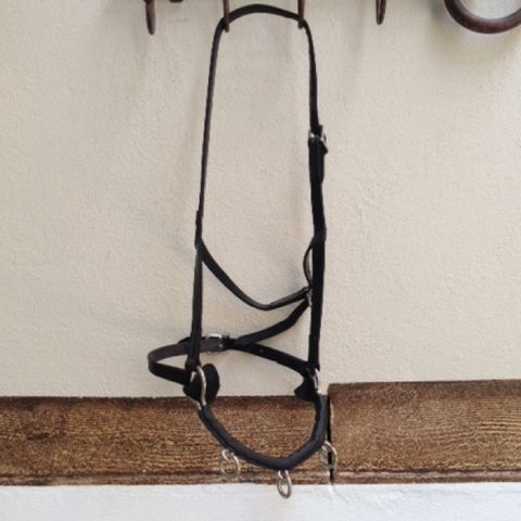 Pony Size - French Cavesson